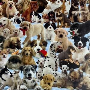 Ravensburger "Dogs Galore!" 1000-piece Jigsaw Puzzle